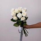 Розы бланка белые миниатюра 1