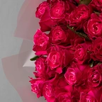 Розы кардинал малиновые миниатюра 2