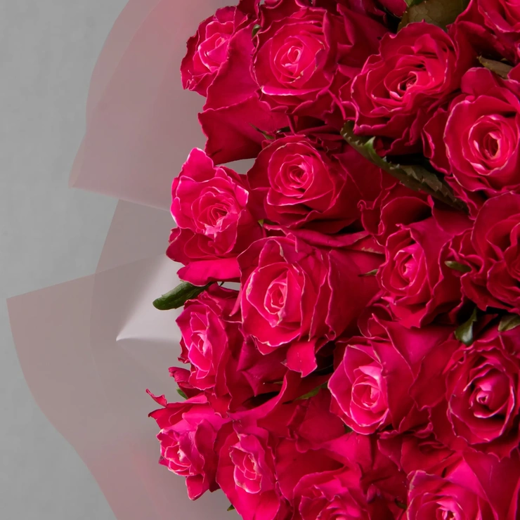 Розы кардинал малиновые фото 2