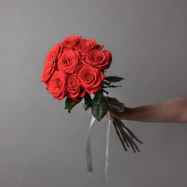 Розы морелло красные фото 1