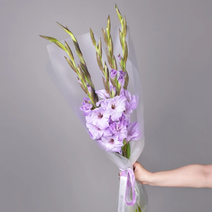 Букет Гладиолус - Милка фиолетовый фото 1