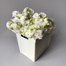 Лизиантус Ду Селеб кристал белый