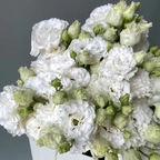 Лизиантус Ду Селеб кристал белый миниатюра 2