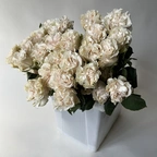 Роза - Коттон Экспрешн белый миниатюра 1