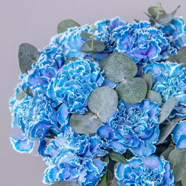 Шляпная коробка диантусы голубые фото 1