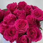 Роза - Фулл Монти розовый миниатюра 2