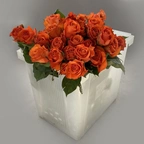 Роза - вейв оранжевая миниатюра 1