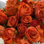 Роза - вейв оранжевая миниатюра 2