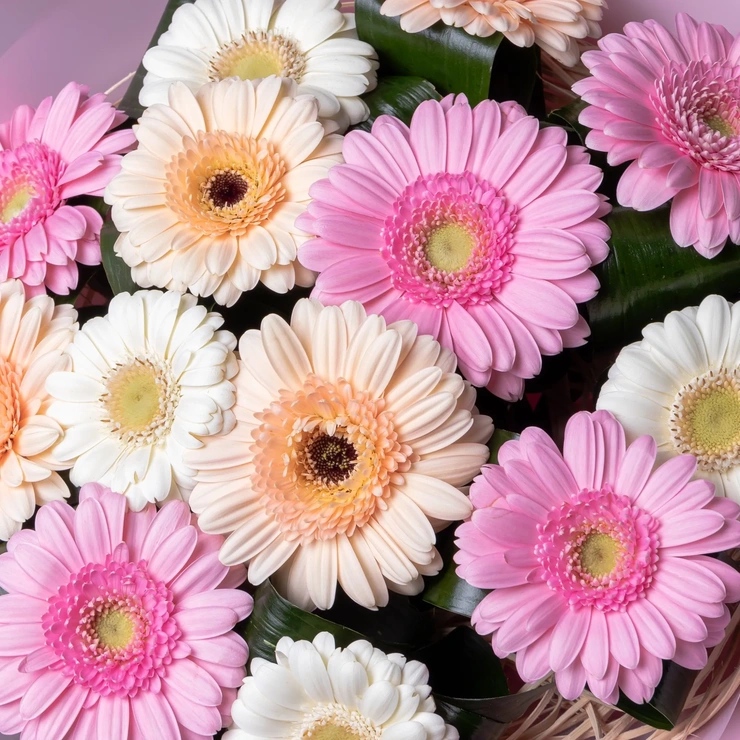 Букет  - Нежный возраст розовый фото 2